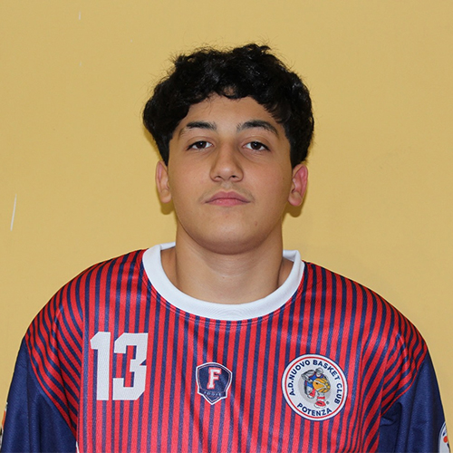 FabioFerri13